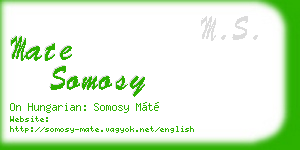 mate somosy business card