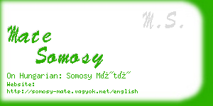 mate somosy business card